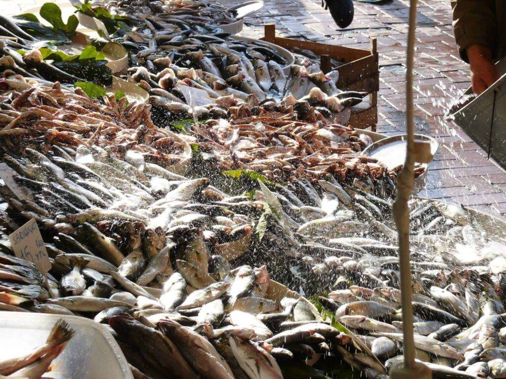 istanbul private tours - Fresh fish in Istanbul during a private tour