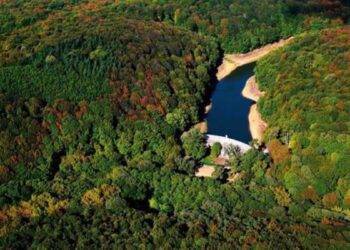 Best parks in Istanbul: Atatürk Kent Ormanı