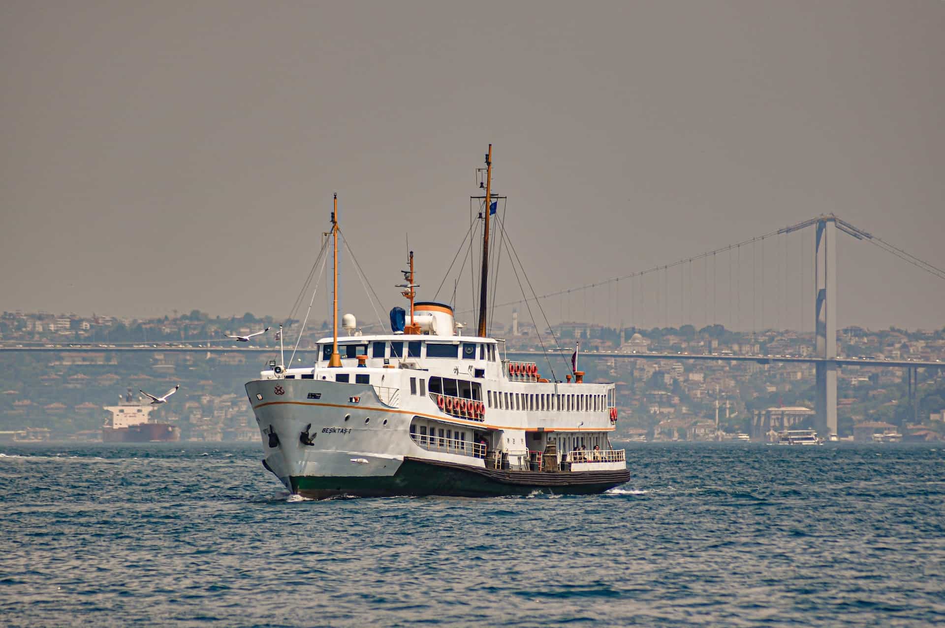 Bosphorus public ferries are frequent and an experience in an of themselves.