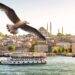 The Golden Horn: Istanbul’s Historic Harbor