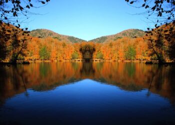 7-Day Comprehensive Black Sea Tour