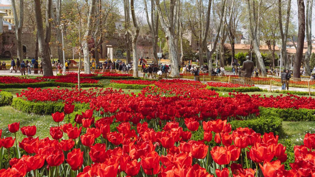 Istanbul Tulip Festival - Emirgan Bosphorus - The Other Tour