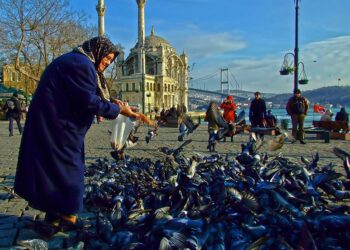 Beşiktaş – The Pulse of the Bosphorus