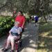 Guided Tours with Wheelchair