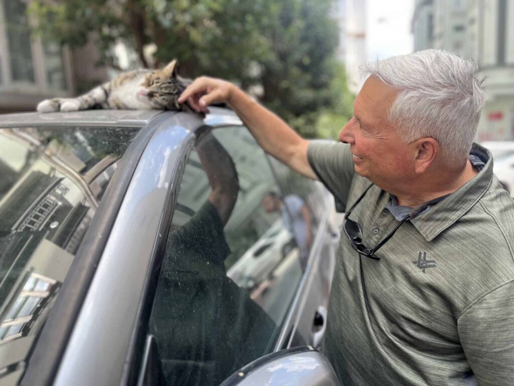 Cat Tour Istanbul - The Other Tour 2025