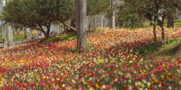 Emirgan Park - Off the Beaten Path Tour - The Other Tour Istanbul