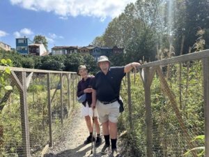 Communal Garden in Kuzguncuk - Istanbul Asian Side - The Other Tour