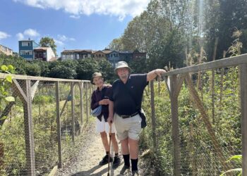 Communal Garden in Kuzguncuk - Istanbul Asian Side - The Other Tour