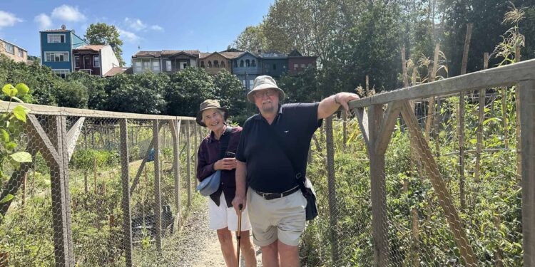 Communal Garden in Kuzguncuk - Istanbul Asian Side - The Other Tour
