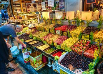 Liquid Gold of Anatolia: Turkey’s Olive Oil Heritage