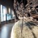 Bodrum Underwater Archaeology Museum