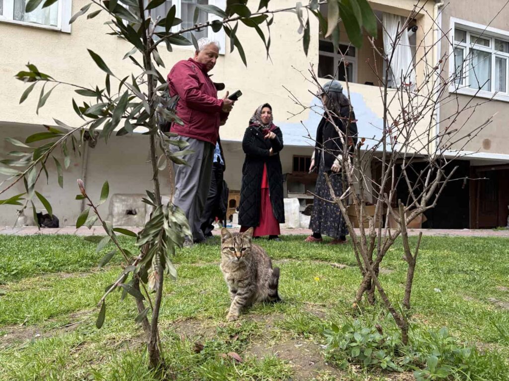 Aynur cat lover in Balat Istanbul