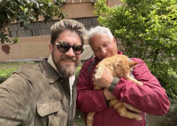 Four Days With Istanbul’s Cats and the People Who Love Them