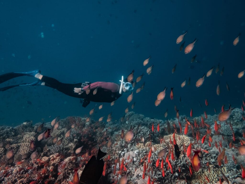 Dr. Selda Ozhan Bodrum Guide 2 - The Other Tour