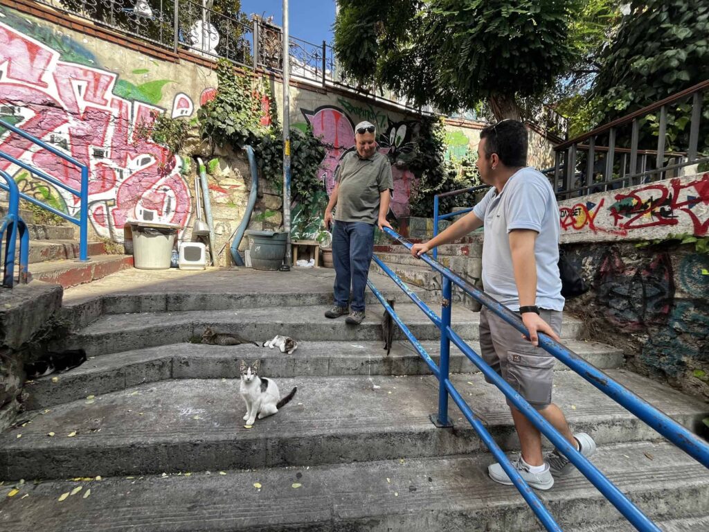 Jim Johnson - Istanbul cat tour 2025 (1)
