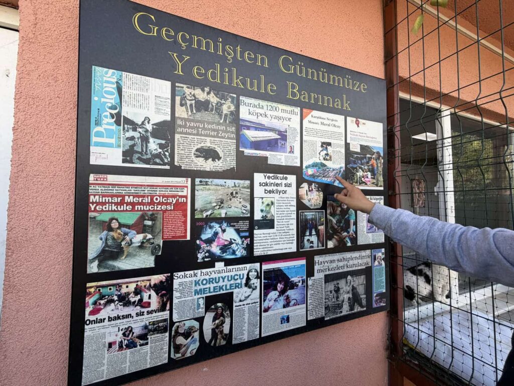Yedikule Animal Shelter in Newspapers