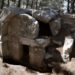 Cadyanda: Lycia’s Hidden City in the Pines