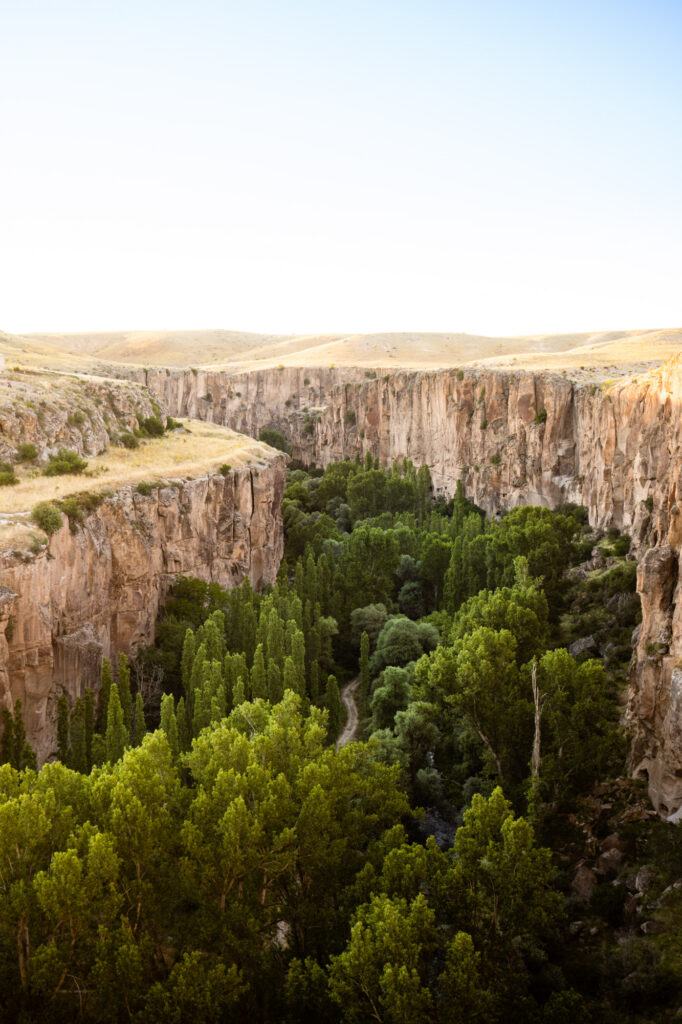 Panoramic view of Ihlara Valley in Aksaray, where dense riverside trees contrast with towering volcanic rock cliffs.