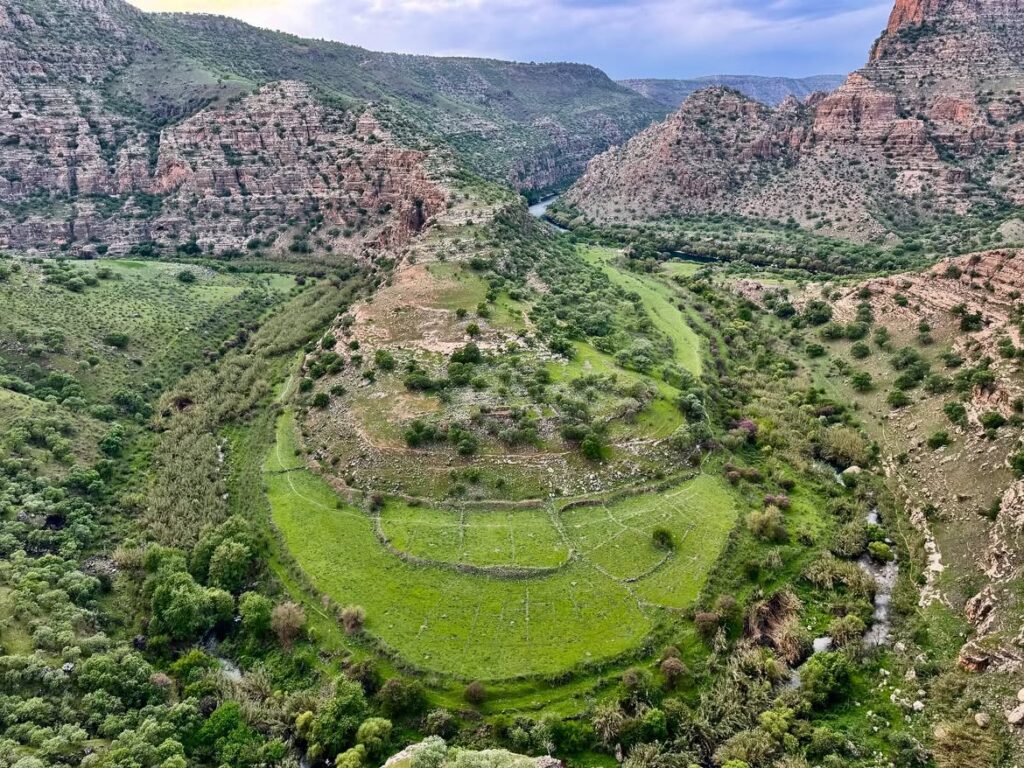Aerial view of Cehennem Deresi Canyon, where lush vegetation follows the river through the rugged landscape of Şırnak, Turkey.