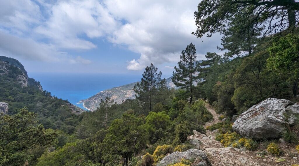 Forest trail surrounded by pine trees overlooking the Mediterranean coast in Kabak Valley near Fethiye, Türkiye.