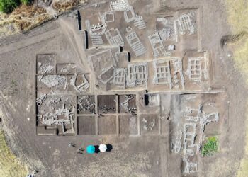 Aerial view of Çayönü Tepesi excavation showing grill-plan stone foundations, with archaeologists and umbrellas below