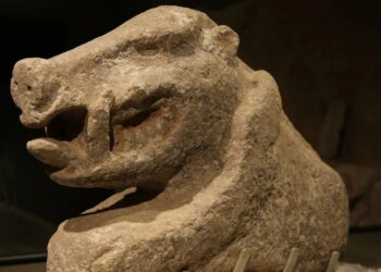 Taş Tepeler: 12 Neolithic Sites Beyond Göbeklitepe