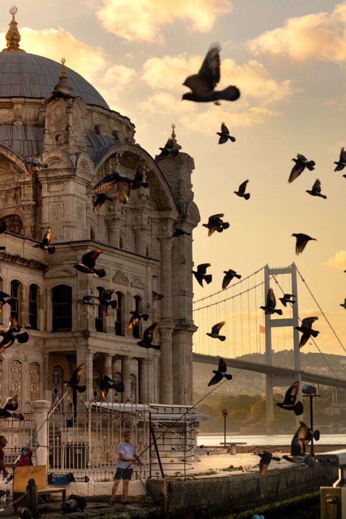 Flock of birds flying near Ortaköy Mosque with the Bosphorus Bridge in the background, Istanbul
