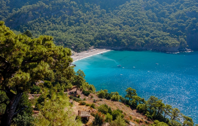 View of Kabak Valley's turqoise bay surrounded by pine forests and rugged cliffs near Fethiye, Türkiye.
