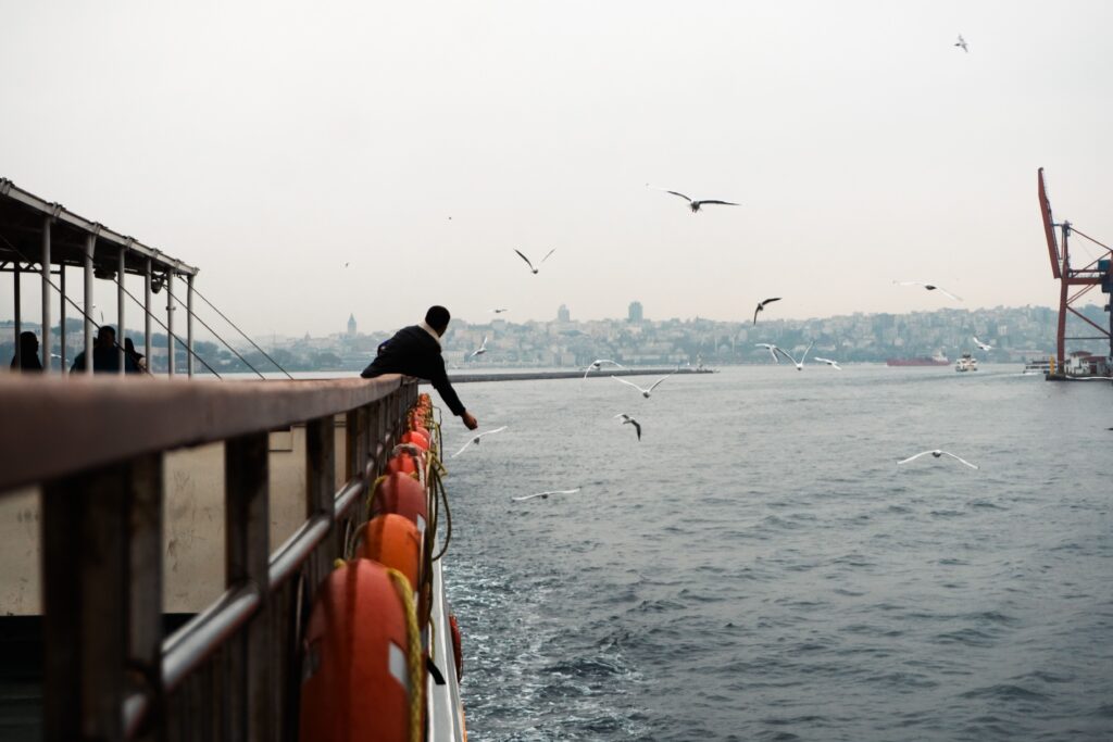 Yellow-legged Gulls flying alongside a ferry on the Bosphorus in Istanbul