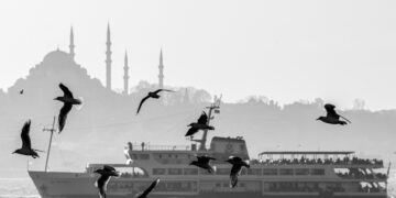 Seagulls flying over the skyline of Istanbul, with the city's historic mosques visible in the background.