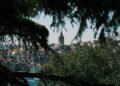 Trees overlooking the historic skyline and Bosphorus in Istanbul
