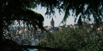 The Historic Trees Behind Istanbul’s Identity