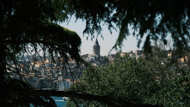 Trees overlooking the historic skyline and Bosphorus in Istanbul