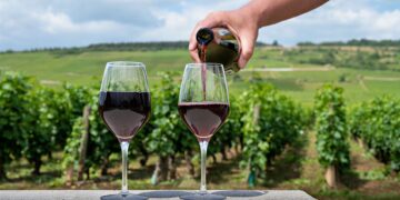 Turkey’s Top 5 Vineyard Routes: A Wine Lover’s Guide