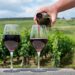 Turkey’s Top 5 Vineyard Routes: A Wine Lover’s Guide